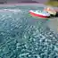 Вилейское водохранилище заполонила синяя пена