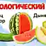Тест именитого психолога, чтобы определить типы характера личности