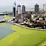 Нашествие водорослей в Китае
