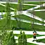 Scholars’ Green Park - новая типология студенческого парка от канадских архитекторов