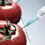 Признаки ГМО в продуктах на Вашем столе