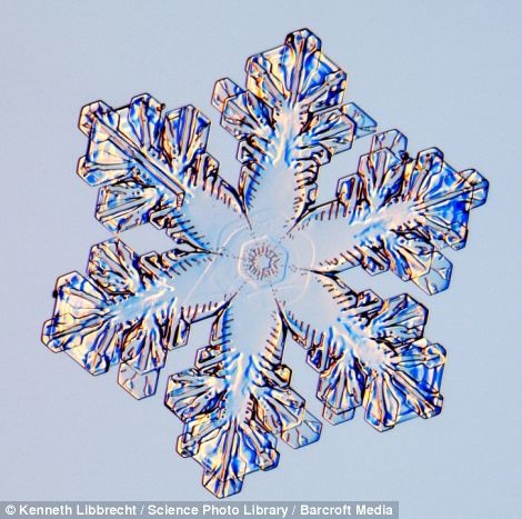 雪花形状 显微镜图片