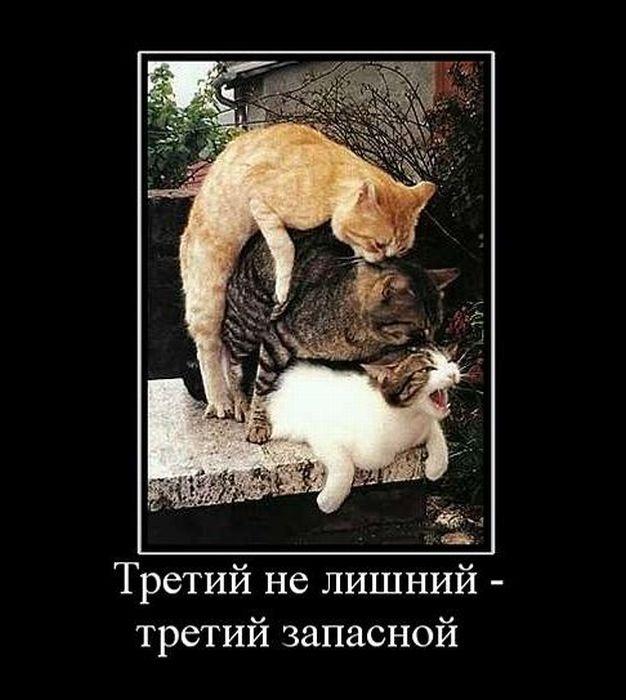 Демотиваторы, часть 73