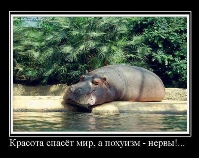 Демотиваторы, часть 73
