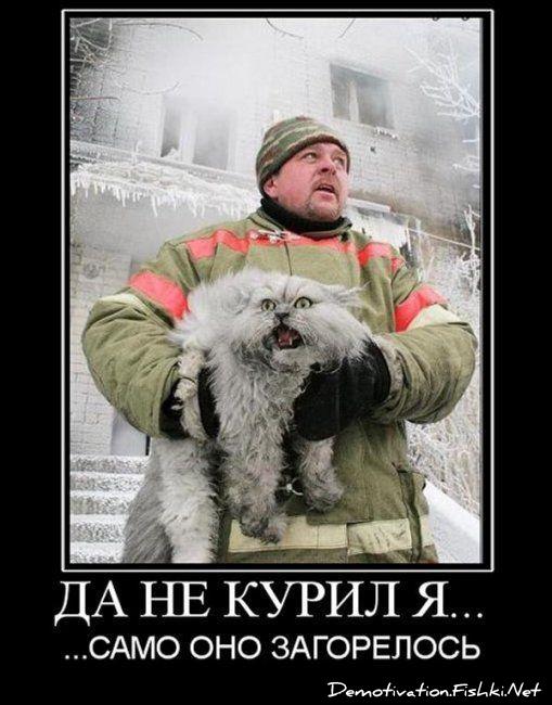 Демотиваторы, сорок первая часть