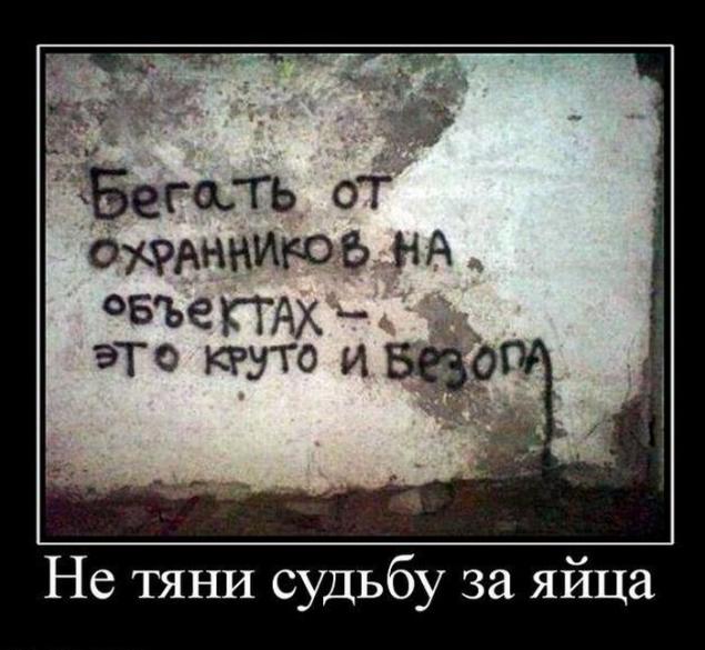 Демотиваторы, часть 73