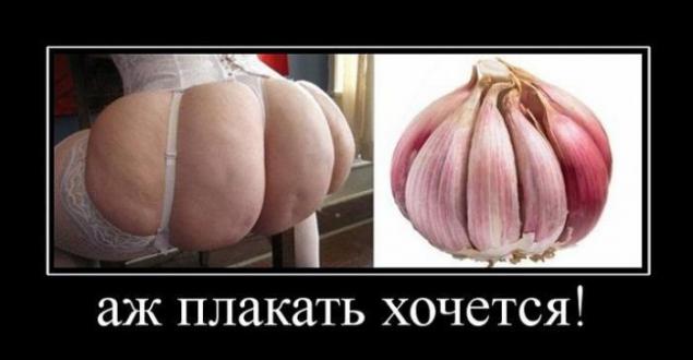 Демотиваторы, тридцать пятая часть