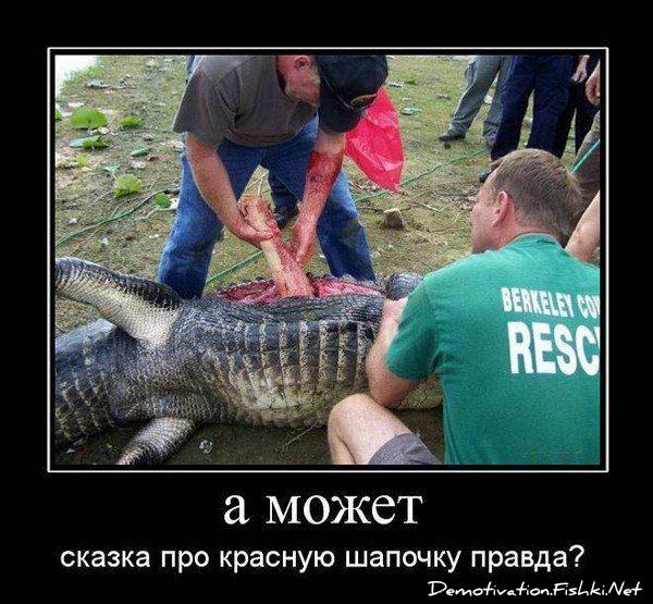 Демотиваторы, сорок первая часть