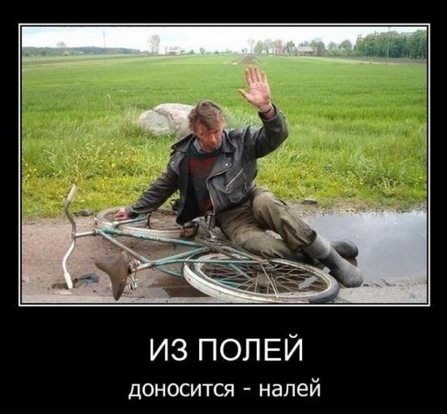 Демотиваторы, часть 73