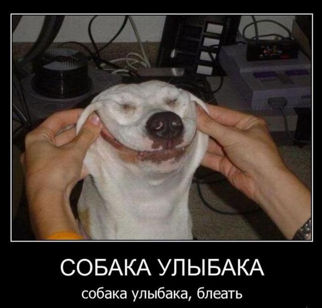 Демотиваторы, часть 73