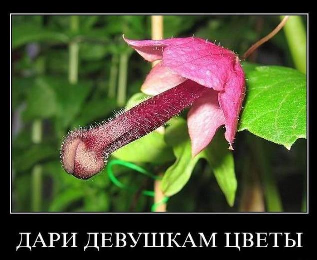 Демотиваторы, часть 73