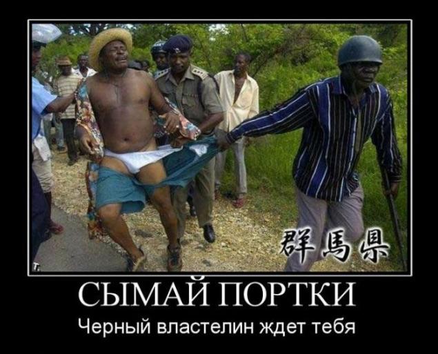 Демотиваторы, тридцать пятая часть
