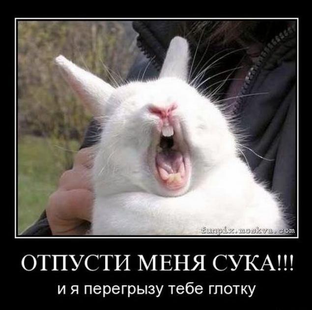 Демотиваторы, часть 73
