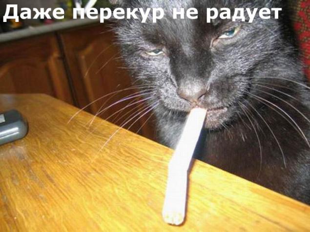 Пусть субботний рабочий день побыстрее кончится