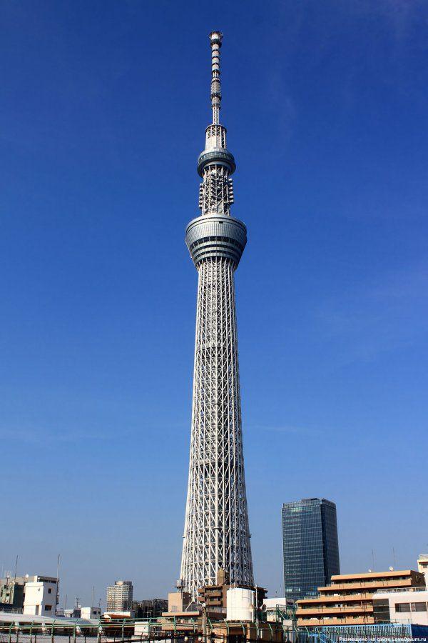 世界最高的电视塔图片