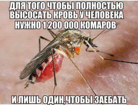 Прикольные фото