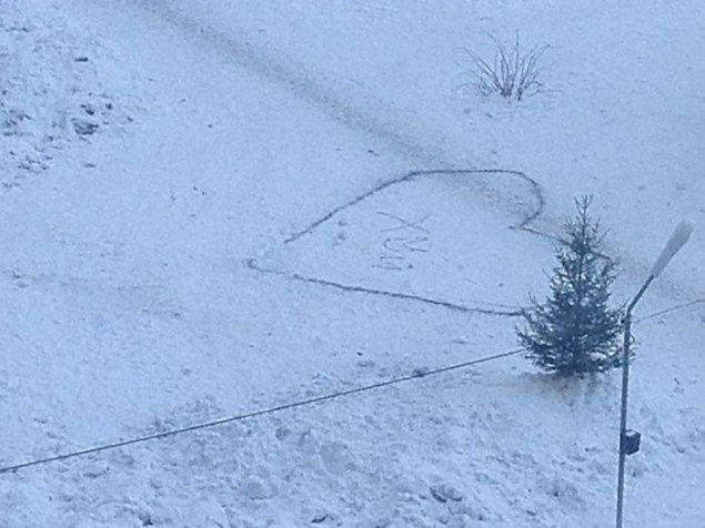 Подборка прикольных картинок (98 фото)