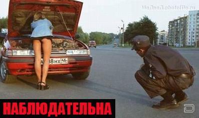 Наша милиция... (20 фото)