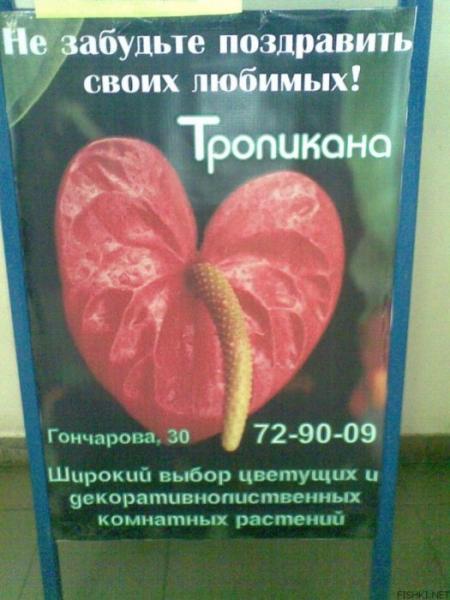 Фотоподборка (64 фото)