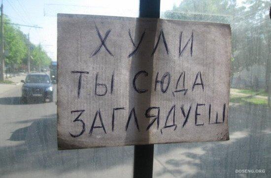 Фотоподборка (40 фото)