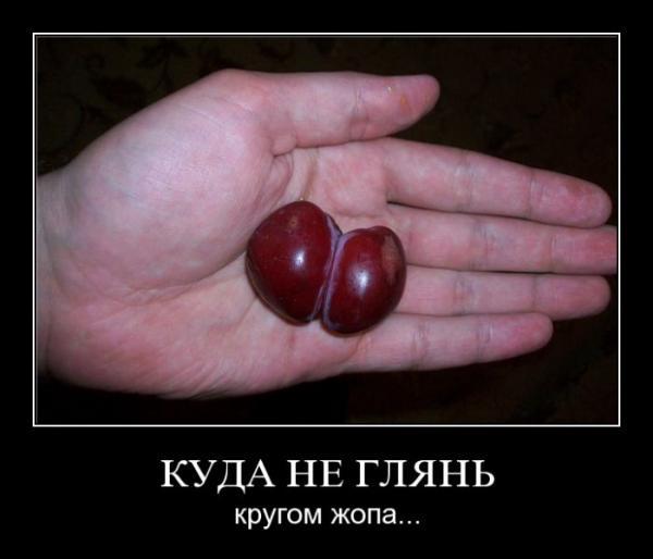 Фотоподборка (125 фото)