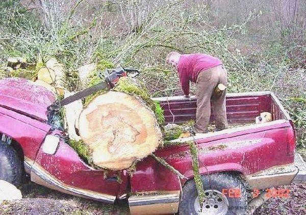Почему мужчины живут меньше (15 фотографий)