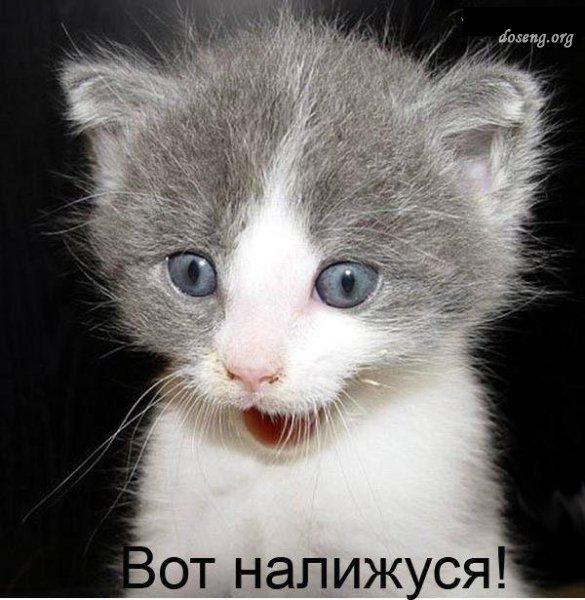 Вы не забыли какой сегодня день?