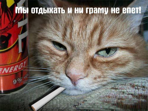 Вы не забыли какой сегодня день?