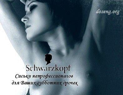 Новая жизнь старых логотипов (121 картинка)