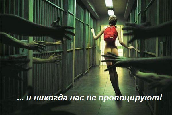 За что мы любим прекрасную половину человечества?