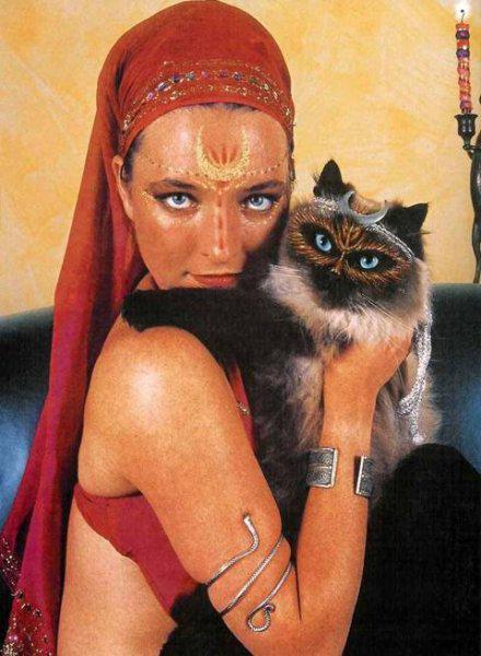 Рестайлинг кошки