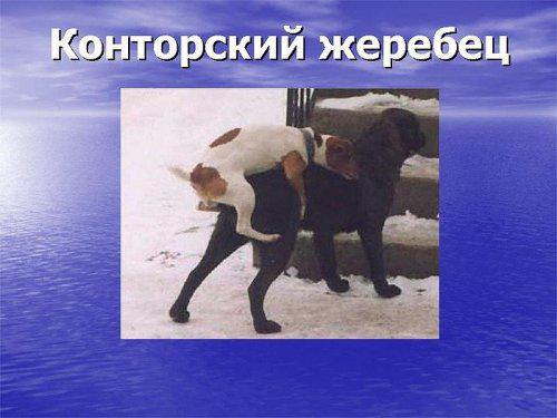 В каждой конторе есть..