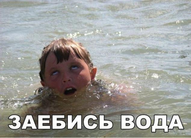 Подборка юмористичных фотографий