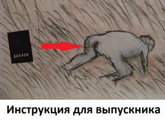 Подборка юмористичных фотографий