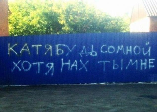 Подборка юмористичных фотографий