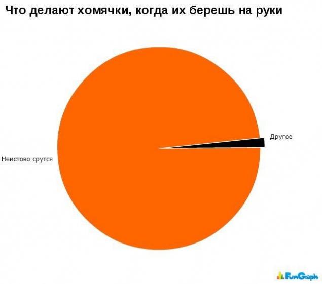 Забавные инфографики обо всем на свете