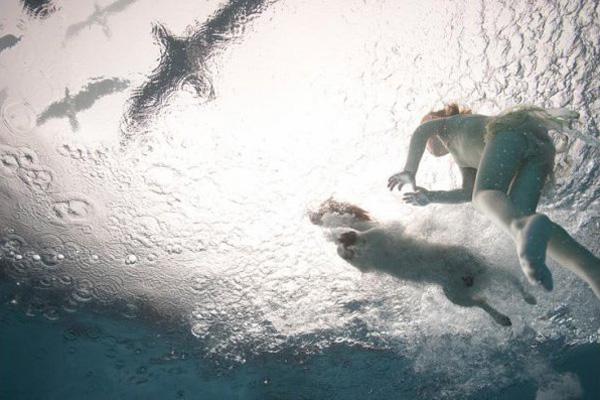 Подводная фотография Зены Холловэй (Zena Holloway)