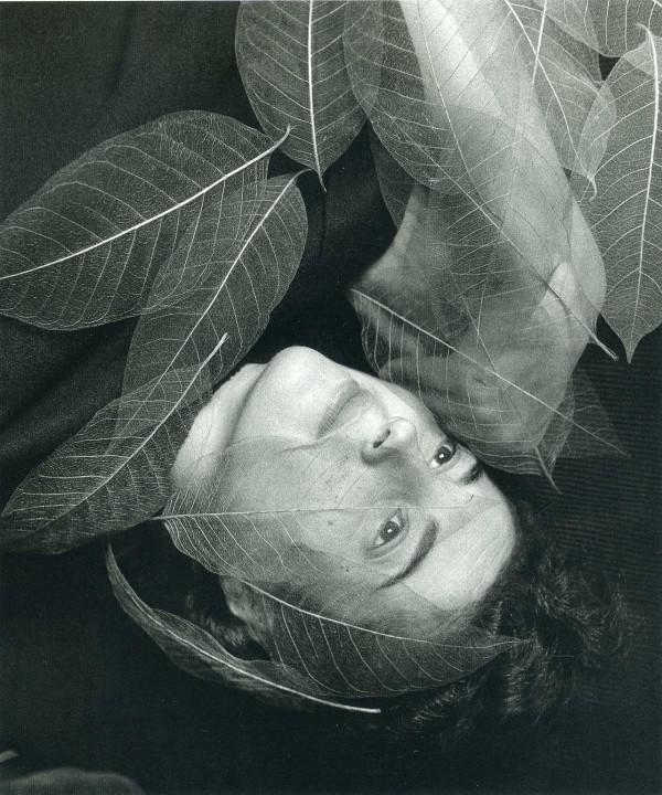 Imogen Cunningham Imogen Cunningham A Female Photographer Of The 