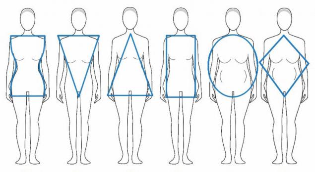 The body types. The ratio of height and weight. Page 1