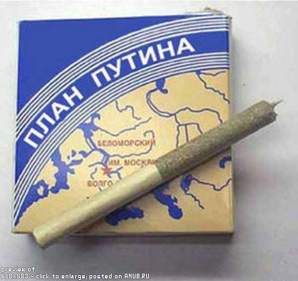 Инструкция по проживанию