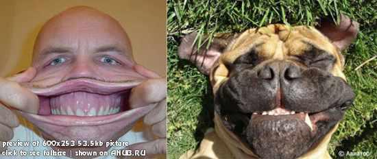 Есть ли сходство?