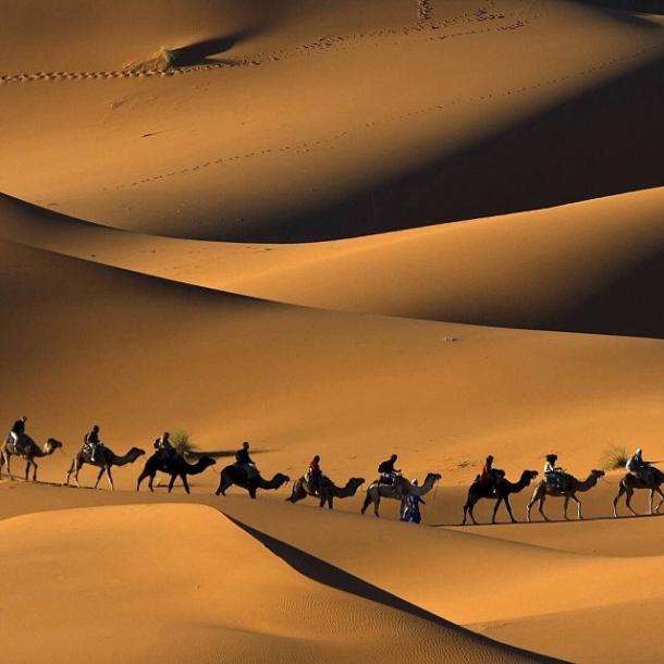 Караван называется. Караван в пустыне. Караван верблюдов. Караван в пустыне Гоби. Пустыня ночью.