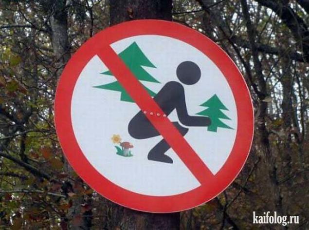 Приколы в лесу (50 фото)