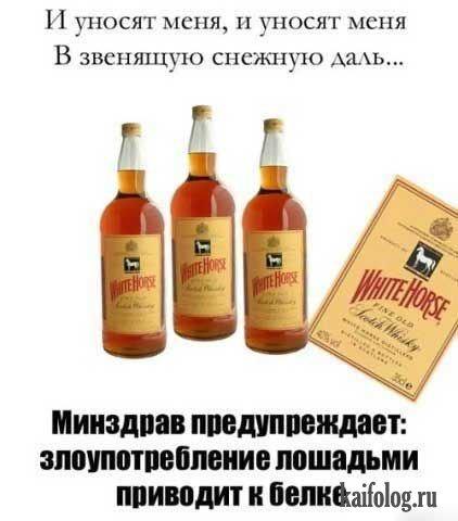 Фотоподборка недели